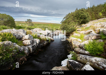 Au nord de la rivière Teign à Scorhill Devon Dartmoor Uk Banque D'Images