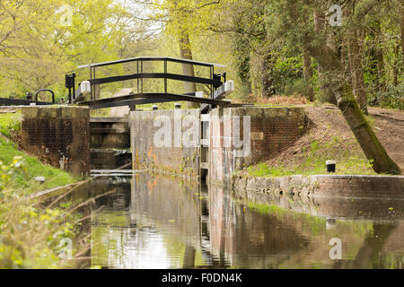 Une vue de la banque du canal de Basingstoke d'un verrou montrant le pont sur l'écluse. Banque D'Images