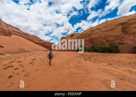 Fourche à sec Narrows de Coyote Gulch Banque D'Images