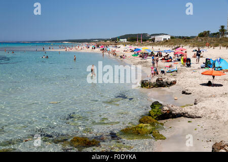 Vue de la plage en été, Son Bou, Minorque, Iles Baléares, Espagne, Europe Banque D'Images