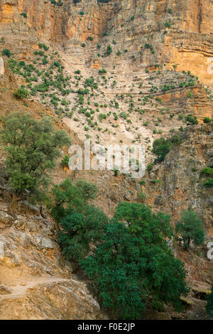 À la recherche dans la rivière ci-dessous les cascades d'Ouzoud dans les montagnes du Haut Atlas. Banque D'Images