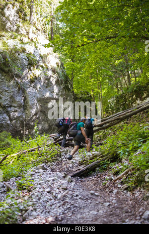 Groupe de touristes avec des sacs à dos en montant une côte sur un chemin raide dans les montagnes Banque D'Images