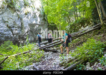 Groupe de touristes avec des sacs à dos en montant une côte sur un chemin raide dans les montagnes Banque D'Images