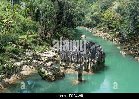 Semuc Champey, Guatemala Banque D'Images