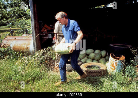 1 janvier 2015 - Président élu américain Jimmy Carter porte pastèques sur ses terres agricoles en plaine, en Géorgie. Carter était à sa terre avec l'un de ses métayers. (Crédit Image : © Ken Hawkins via Zuma sur le fil) Banque D'Images