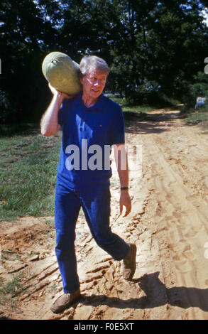 Usa. 30Th Jan, 2015. Président élu américain Jimmy Carter coupe pastèques sur ses terres agricoles en plaine, en Géorgie. Carter était à sa terre avec l'un de ses métayers. © Ken Hawkins/ZUMA/Alamy Fil Live News Banque D'Images