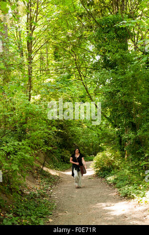 Une femme marche à travers l'un des chemins de Lincoln Park à West Seattle. Banque D'Images