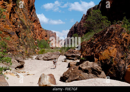 Gorge Piccaninny Bungle Bungle Purnululu - - Australie Banque D'Images