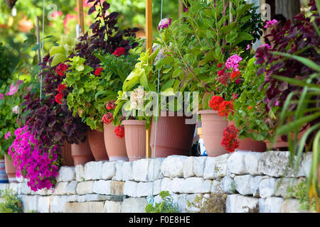 Beaucoup de fleurs différentes sur un jardin dans l'île de Thassos. Banque D'Images