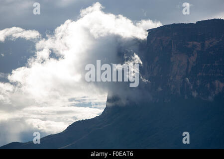 Kukenan tepui avec tombe dans les nuages. Le mont Roraima, Gran Sabana. Venezuela 2015. Banque D'Images