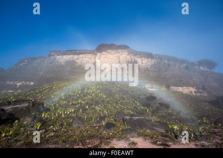 Paysage sauvage et arc-en-ciel en haut du mont Roraima avec brouillard. Gran Sabana. Venezuela 2015. Banque D'Images