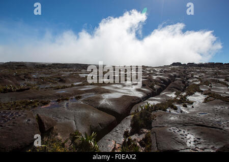 Paysage sauvage au sommet du mont Roraima avec les nuages tôt le matin. Gran Sabana. Venezuela 2015. Banque D'Images