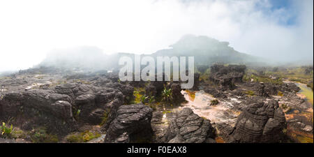 Panorama de paysage sauvage au sommet du mont Roraima avec du brouillard tôt le matin. Gran Sabana. Venezuela 2015. Banque D'Images