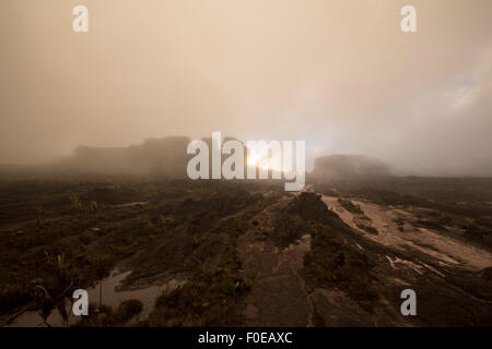 Panorama de paysage sauvage au sommet du mont Roraima avec du brouillard tôt le matin. Gran Sabana. Venezuela 2015. Banque D'Images