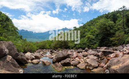 Panorama de la rivière, les rochers et les montagnes autour de prises de l'Angel Falls, Parc national Canaima. Le Venezuela Banque D'Images