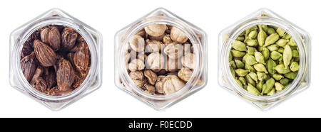 Gousses de cardamome isolé sur fond blanc Banque D'Images