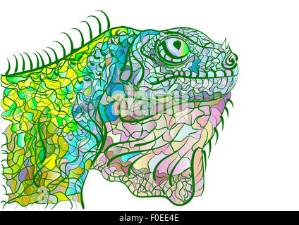 caméléon Banque D'Images