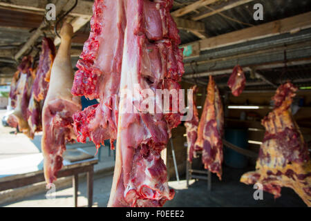 La viande à l'extérieur, suspendu dans l'industrie de la viande, Palomino La Guajira Colombie 2014. Banque D'Images