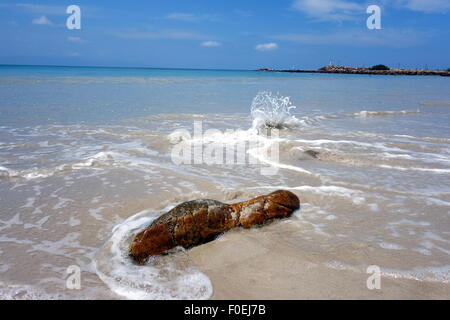 Le lavage à l'eau de mer à la plage de pierre à Punta Mita, au Mexique. Banque D'Images