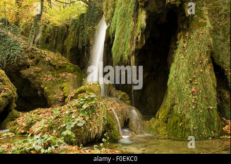 Les chutes d'eau et de mousses abondantes (Cratoneurone commutatum) et (Bryum ventricosum) de plus en plus sur la barrière Labudovac, supérieur des Grands Lacs, le parc national des Lacs de Plitvice, Croatie, octobre 2008 Banque D'Images