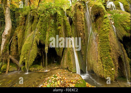 Les chutes d'eau et de mousses abondantes (Cratoneurone commutatum) et (Bryum ventricosum) de plus en plus sur la barrière Labudovac, supérieur des Grands Lacs, le parc national des Lacs de Plitvice, Croatie, octobre 2008 Banque D'Images