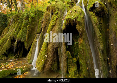 Les chutes d'eau et de mousses abondantes (Cratoneurone commutatum) et (Bryum ventricosum) de plus en plus sur la barrière Labudovac, supérieur des Grands Lacs, le parc national des Lacs de Plitvice, Croatie, octobre 2008 Banque D'Images