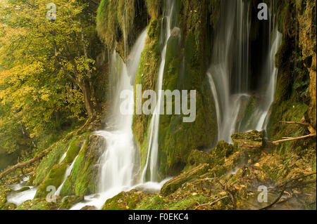 Les chutes d'eau et de mousses abondantes (Cratoneurone commutatum) et (Bryum ventricosum) de plus en plus sur la barrière Labudovac, supérieur des Grands Lacs, le parc national des Lacs de Plitvice, Croatie, octobre 2008 Banque D'Images