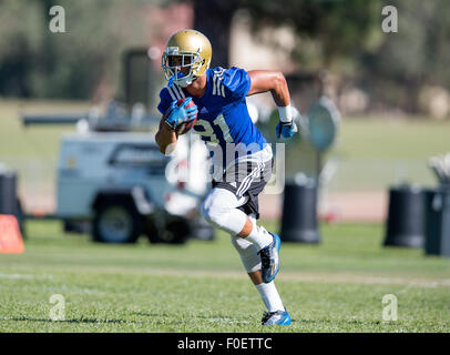 San Bernardino, CA. 10 août, 2015. Récepteur de l'UCLA (81) Tyler Scott fait le plus de ses chargés d'affaires au cours du premier jour de la pratique de l'automne lundi, 10 août, 2015 à Cal State College de San Bernardino, San Bernardino, en Californie. (Crédit obligatoire : Juan Lainez/MarinMedia.org/Cal Sport Media) (photographe complet, et de crédit requis) © csm/Alamy Live News Banque D'Images