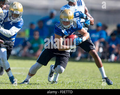 San Bernardino, CA. 10 août, 2015. Récepteur de l'UCLA (86) Logan Sweet ressemble pour l'exécution de prix au cours du premier jour de la pratique de l'automne lundi, 10 août, 2015 à Cal State College de San Bernardino, San Bernardino, en Californie. (Crédit obligatoire : Juan Lainez/MarinMedia.org/Cal Sport Media) (photographe complet, et de crédit requis) © csm/Alamy Live News Banque D'Images