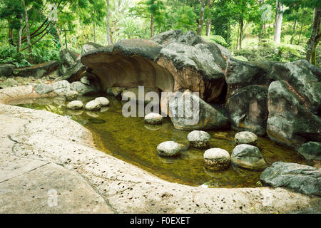 Paysage préhistorique avec des falaises et des cavernes de pierre pittoresque dans le jardin Botanique de Singapour Banque D'Images