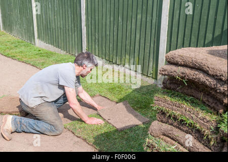 Un homme portant la nouvelle herbe pelouse gazon jardin dans un jardin Banque D'Images