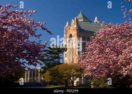 Henry Suzzallo Library, University of Washington, Seattle, Washington Banque D'Images