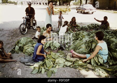 Géographie / Voyage, Italie, personnes, enfants et femmes pendant la préparation du tabac assis dans la rue, années 1960, droits additionnels-Clearences-non disponible Banque D'Images