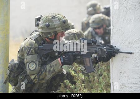 Les soldats de huit pays - des USA, la République tchèque, la Grande-Bretagne, l'Allemagne, le Canada, la Géorgie, la Hongrie et la Serbie - participer à la journée de présentation de l'organisation militaire de l'OTAN Allied Esprit dans le centre de préparation interarmées multinationale (JMRC) près de Hohenfels en Allemagne, le 14 août 2015. (CTK Photo/Ludek Perina) Banque D'Images