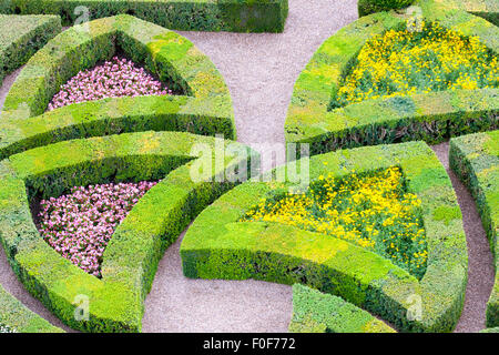 Jardin avec de nombreux types différents de buis Banque D'Images