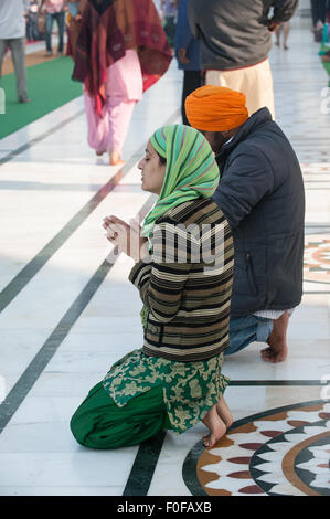 Amritsar, Punjab, en Inde. Un homme et une femme qui prie à genoux au Golden Temple. Banque D'Images