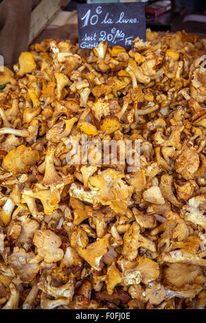 Les chanterelles (Cantharellus cibarius) à vendre à un marché de fermiers, Bourgogne, France, Europe Banque D'Images