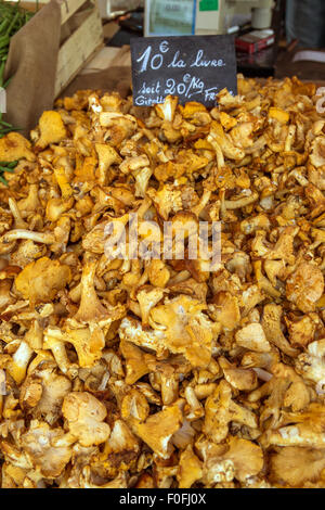 Les chanterelles (Cantharellus cibarius) à vendre à un marché de fermiers, Bourgogne, France, Europe Banque D'Images