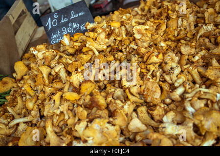 Les chanterelles (Cantharellus cibarius) à vendre à un marché de fermiers, Bourgogne, France, Europe Banque D'Images