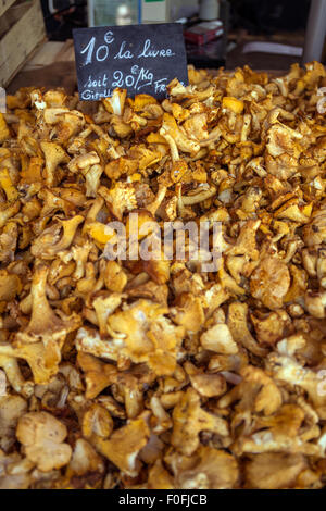 Les chanterelles (Cantharellus cibarius) à vendre à un marché de fermiers, Bourgogne, France, Europe Banque D'Images