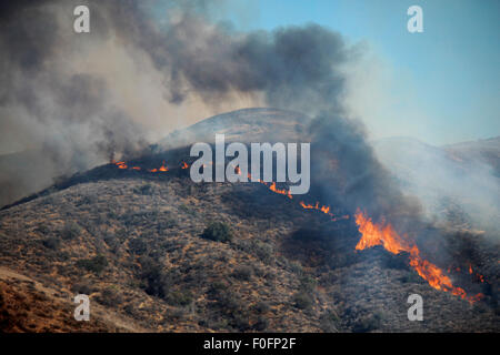 Simi Valley, Californie, USA. Août 14, 2015. Le feu brûle rustique grâce à la brosse sèche de la sécheresse monté collines de Simi Valley, CA le Vendredi, Août 14, 2015. L'incendie a menacé d'environ 500 foyers dans la région. Credit : Priya Arulmani/Alamy Live News Banque D'Images