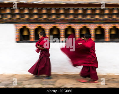 Les jeunes moines bouddhistes à Marche (ou) Chimmi Lhakhang ou moine fou Bhoutan monastère Banque D'Images