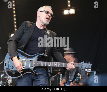 Kraanlei 2 park Polo Club de Rock 'n''hôte dans la puissance de l'aide d''un cancer de la prostate : Nik Kershaw Où : Ewhurst, Royaume-Uni Quand : 13 Juin 2015 Banque D'Images