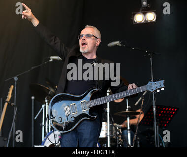 Kraanlei 2 park Polo Club de Rock 'n''hôte dans la puissance de l'aide d''un cancer de la prostate : Nik Kershaw Où : Ewhurst, Royaume-Uni Quand : 13 Juin 2015 Banque D'Images