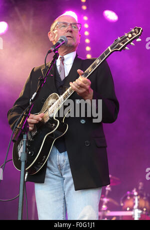 Kraanlei 2 park Polo Club de Rock 'n''accueil de l'aide de la puissance du cancer de la prostate avec : Andy Fairweather Où : Ewhurst, Royaume-Uni Quand : 13 Juin 2015 Banque D'Images