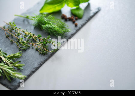 Des branches de romarin, thym, aneth, basilic et sont disposés sur un plateau d'ardoise. Les grains de poivre sont parsemées d'entre eux. Banque D'Images