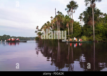 Les gens sur de petits bateaux d'admirer le beau paysage au Lac Sandoval, partie de la Madre de Dios dans le bassin de l'Amazone, au Pérou Banque D'Images