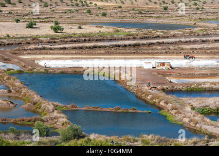 Les marais salants près de Castro Marim dans l'Algarve, Portugal Banque D'Images