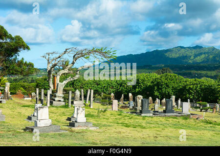 Petite église cimetière au sol avec des pierres tombales anciennes du début du 19e siècle à Hawaï Banque D'Images