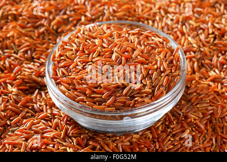 Grains de riz rouge de Camargue (biologiques cultivés dans les milieux humides du sud de la France) Banque D'Images